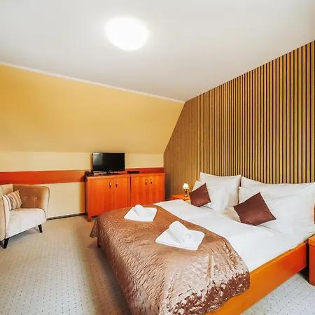 Hotel U Leva 3*