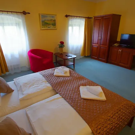 U Leva Hotel Levoča