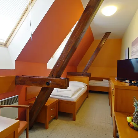 Hotel U Leva 3*