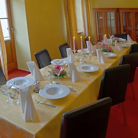 Hotel U Leva 3*