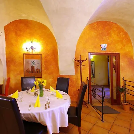 Hotel U Leva