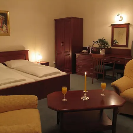 Hotel U Leva Levoča